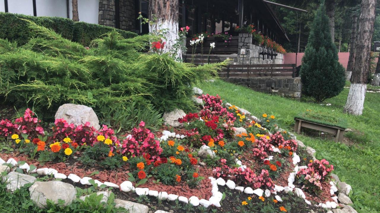 Hanul Izvorul Rece Sinaia Exterior foto